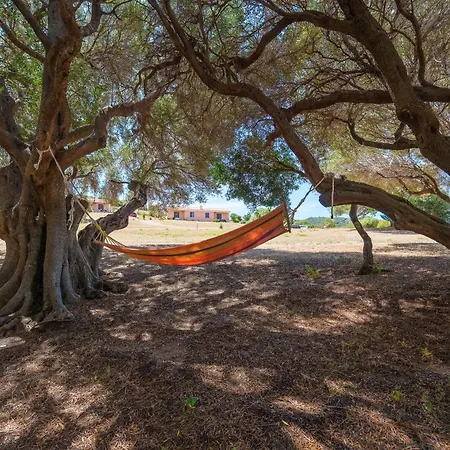 Casa Mirto Con Piscina E Vista Mare アパート